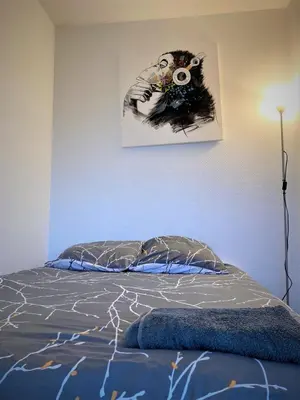 Un ou plusieurs lits dans un hébergement de l'établissement Appartement double à Limoges
