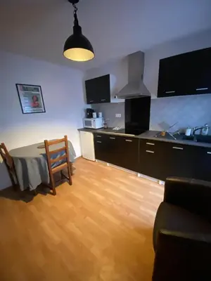 Cuisine ou kitchenette dans l'établissement Appartement F1