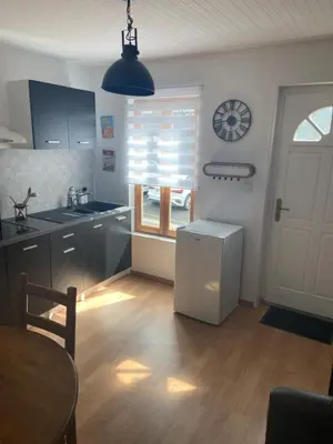Cuisine ou kitchenette dans l'établissement Appartement F1