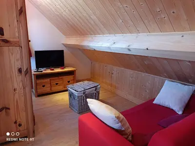 Télévision ou salle de divertissement dans l'établissement Chalet Chez Picou