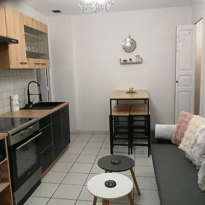 Cuisine ou kitchenette dans l'établissement joli T2