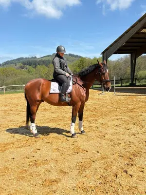 Équitation au sein de la maison de vacances ou à proximité