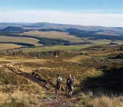 Plan de l'établissement La Bergerie des Volcans - DogFriendly