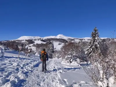Plan de l'établissement La Bergerie des Volcans - DogFriendly
