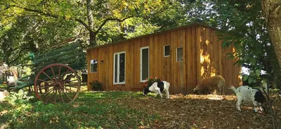 Jardin de l'établissement La Petite Maison dans La Mégie Tiny House