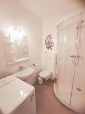 Salle de bains dans l'établissement AppartementCosy, cœurdeSouillac tidordognehomes