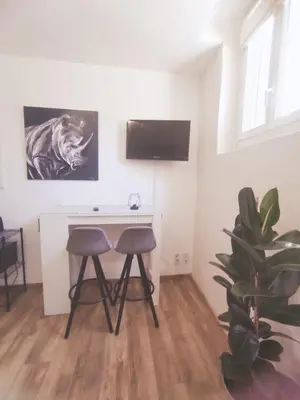 Télévision ou salle de divertissement dans l'établissement Charmant studio, cœurdeSouillac tidordognehomes