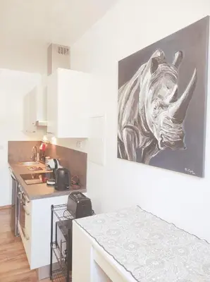 Cuisine ou kitchenette dans l'établissement Charmant studio, cœurdeSouillac tidordognehomes