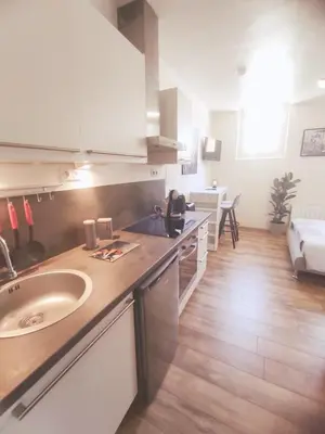 Cuisine ou kitchenette dans l'établissement Charmant studio, cœurdeSouillac tidordognehomes