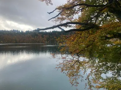 Paysage naturel près de la maison de vacances