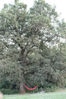 Paysage naturel près de la maison de vacances