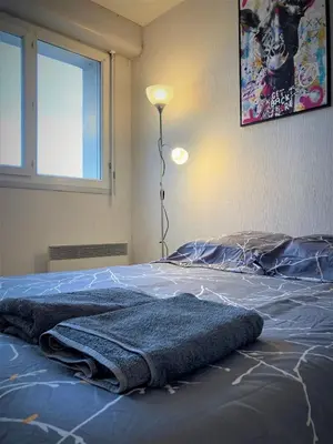 Un ou plusieurs lits dans un hébergement de l'établissement Appartement double à Limoges