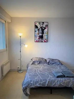 Un ou plusieurs lits dans un hébergement de l'établissement Appartement double à Limoges