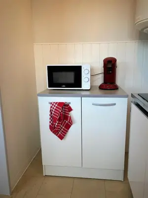 Cuisine ou kitchenette dans l'établissement Appartement double à Limoges