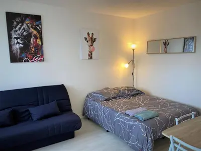Un ou plusieurs lits dans un hébergement de l'établissement Appartement double à Limoges