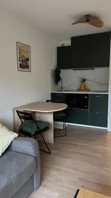 Cuisine ou kitchenette dans l'établissement Studio cosy Mont-Dore avec vue, balcon, parking