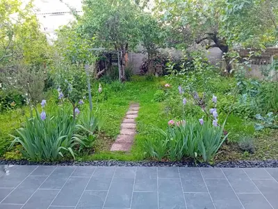 Jardin de l'établissement Maison Alfred