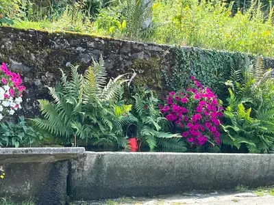 Jardin de l'établissement La Maison bleue