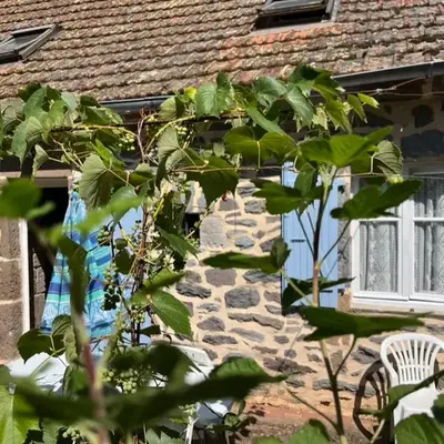 La Maison bleue