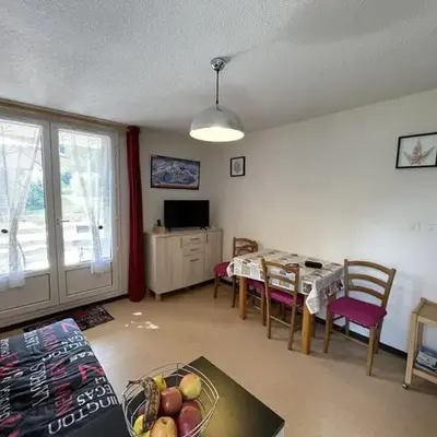 Coquet studio avec terrasse au Lioran