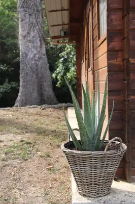 Jardin de l'établissement La MAISON d'AUBUSSON