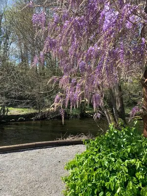 Jardin de l'établissement La MAISON d'AUBUSSON