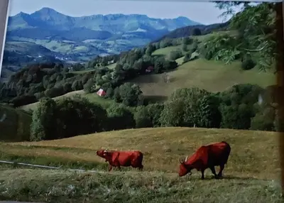 Paysage naturel près de la maison de vacances