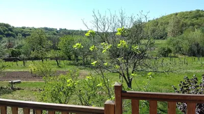 Paysage naturel près de la maison de vacances