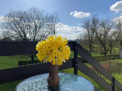 Jardin de l'établissement Chez Maurice Maison familiale & Campagne