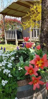 Jardin de l'établissement Camping LePigeonnier à Miers près du gouffre de Padirac