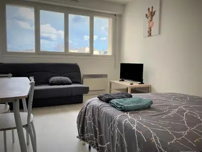 Un ou plusieurs lits dans un hébergement de l'établissement Appartement double à Limoges