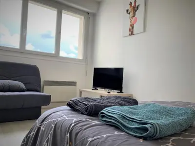 Télévision ou salle de divertissement dans l'établissement Appartement double à Limoges