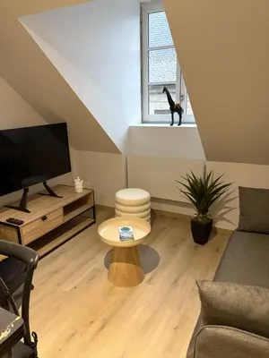 Télévision ou salle de divertissement dans l'établissement La Villa Louana 4 Appartement neuf et moderne tout confort