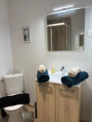 Salle de bains dans l'établissement Le studio louana Appartement neuf et discret tout confort