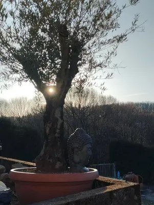 Paysage naturel près de l'appartement