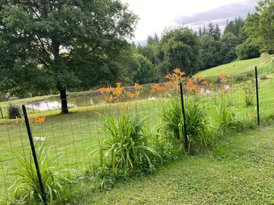 Jardin de l'établissement Domaine De Domingeal Meublé de Tourisme 3 étoiles