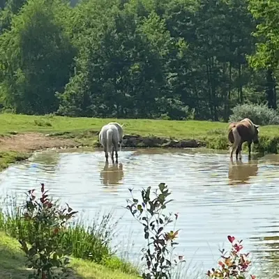 Domaine De Domingeal Meublé de Tourisme 3 étoiles