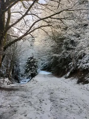 L'établissement T3 Duplex Les Marmottes en hiver