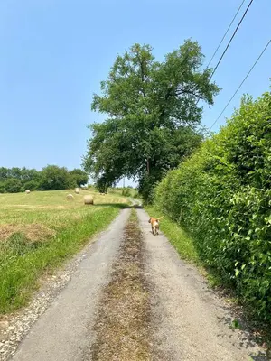 Paysage naturel près de la maison de vacances