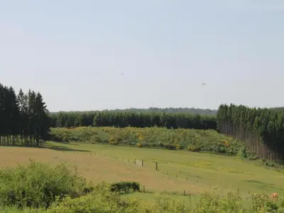 Paysage naturel près de la maison de vacances