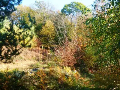 Paysage naturel près de l'appartement