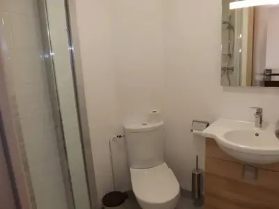 Salle de bains dans l'établissement Gite 8 Vacances en Auvergne Gîte au Puy Mary avec Activités de Plein Air