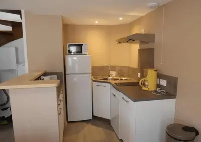 Cuisine ou kitchenette dans l'établissement Gite 12 Gîte au Puy Mary Hébergement Confortable pour Familles et Amis