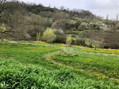 Paysage naturel près de la maison de vacances