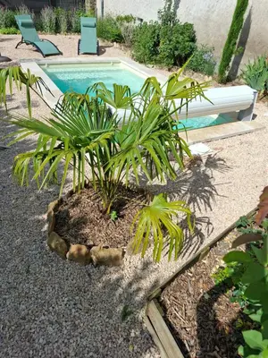 Piscine de l'établissement Le Maclo ou située à proximité