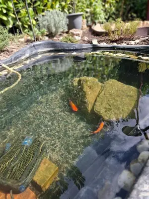 Jardin de l'établissement Le Maclo