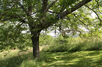 Paysage naturel près de la maison d'hôtes