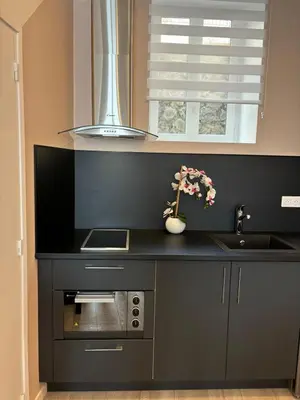 Cuisine ou kitchenette dans l'établissement Studio centre ville La Bourboule