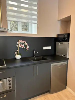 Cuisine ou kitchenette dans l'établissement Studio centre ville La Bourboule