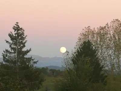 Paysage naturel près de l'appartement
